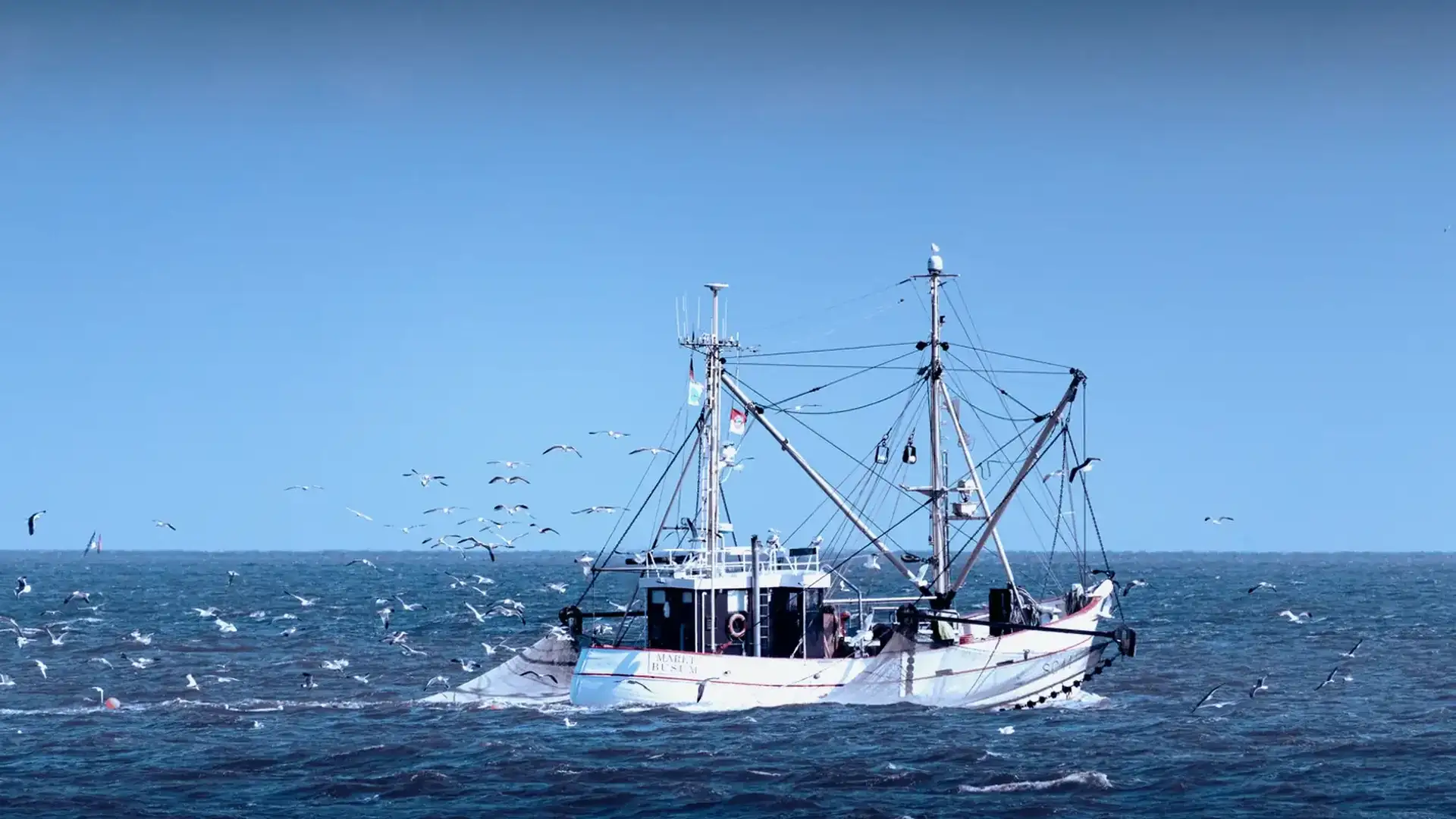 Arrastrero profesional navegando en alta mar rodeado de gaviotas