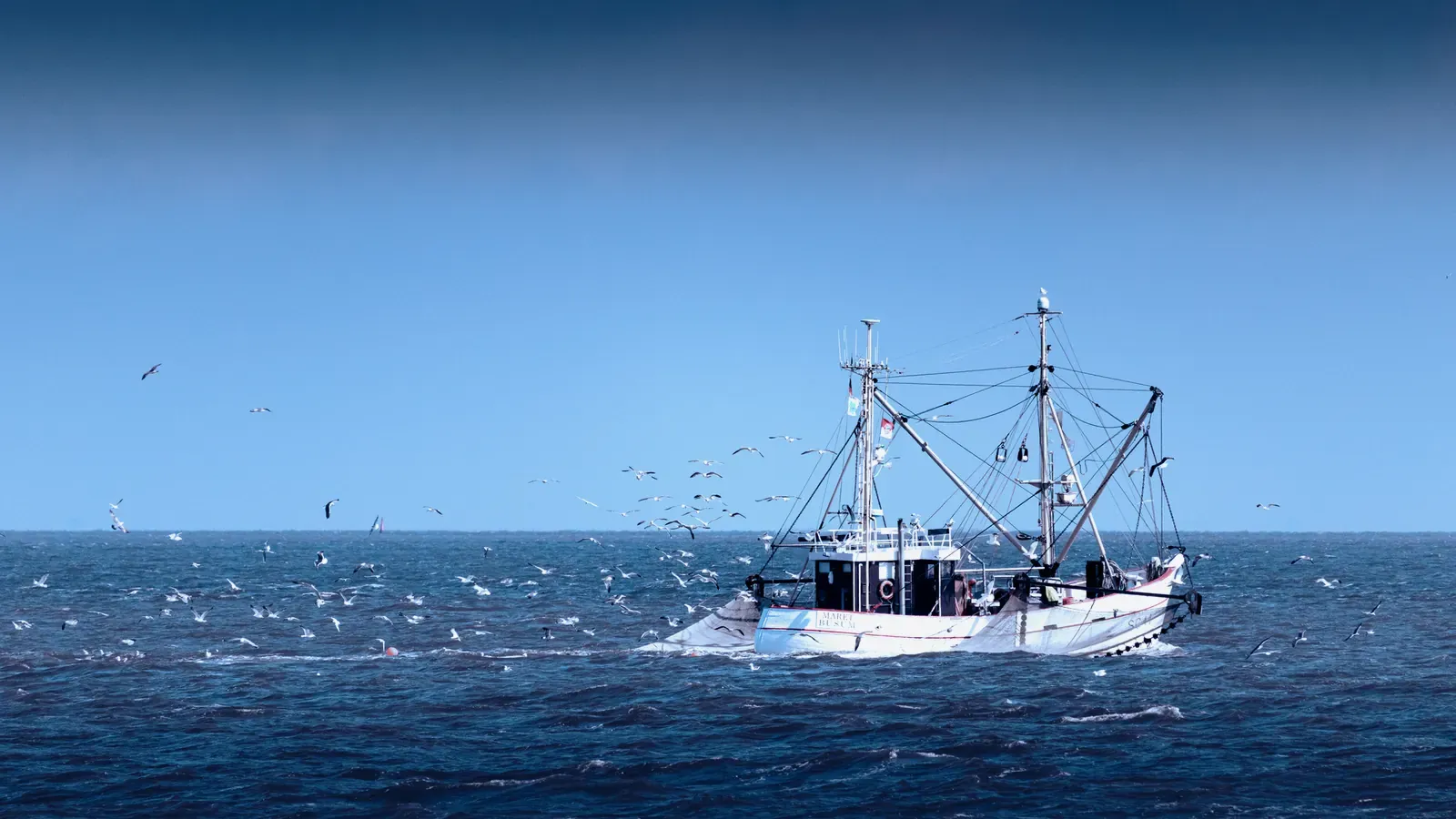 Barco pesquero de altura en alta mar