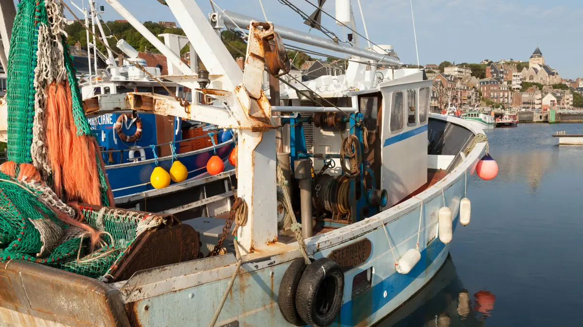 Cómo la conectividad Starlink transforma la gestión de una flota pesquera