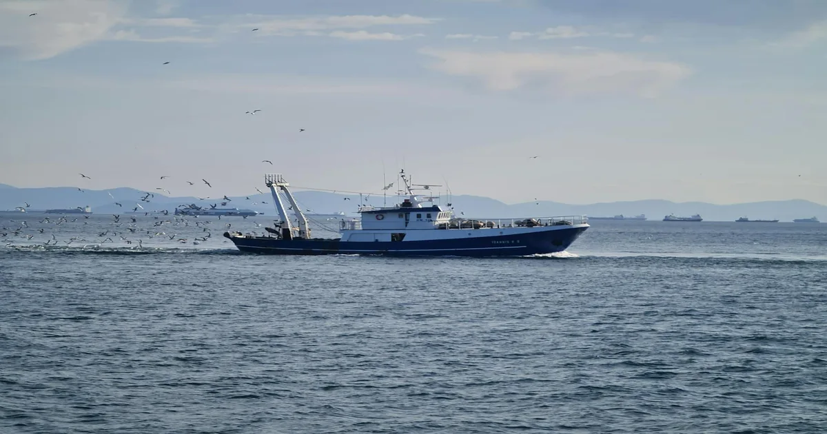 Oceanografía operacional en tiempo real: cómo Starlink cambia la toma de decisiones en pesca