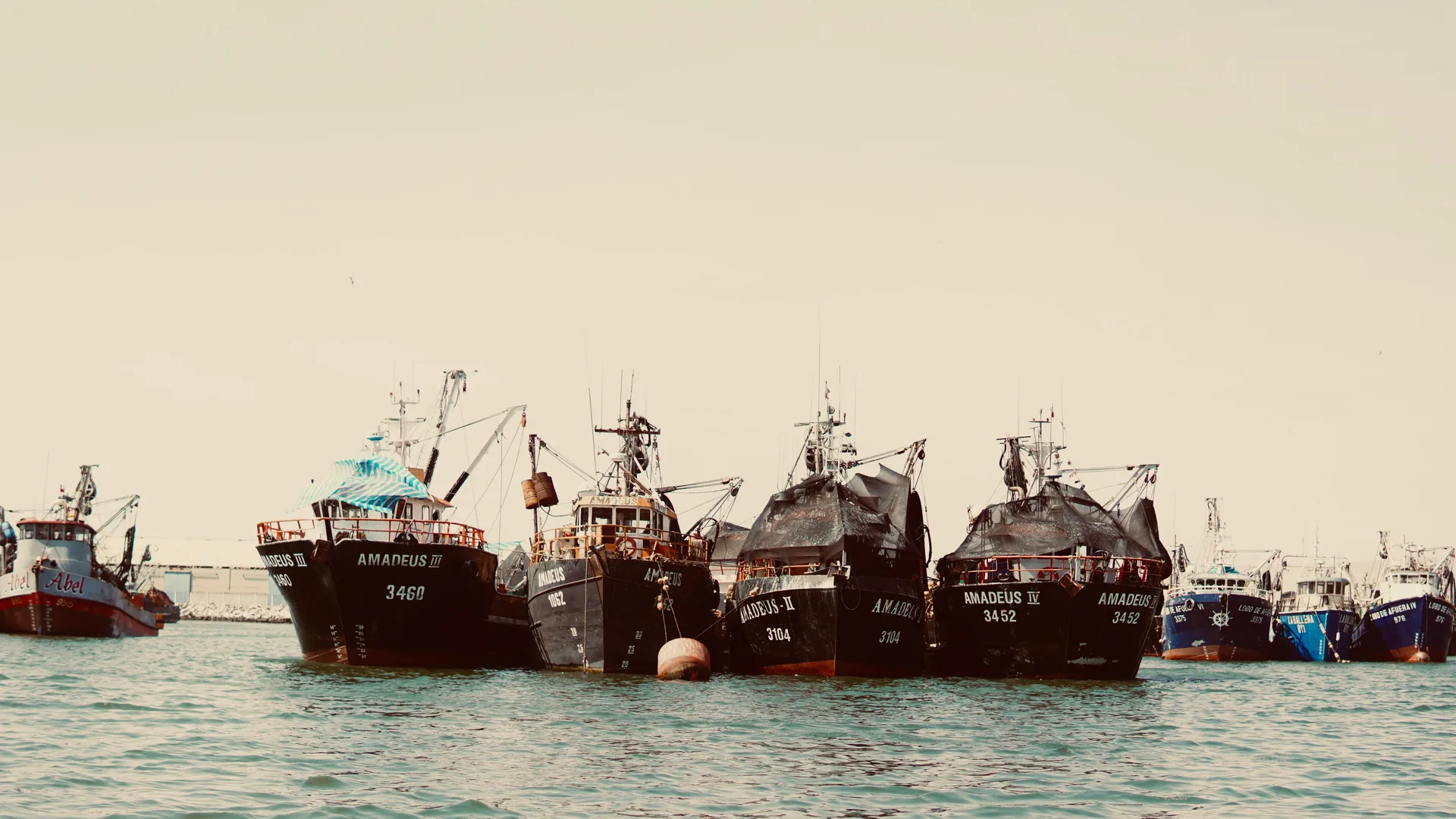 Barco pesquero profesional en alta mar